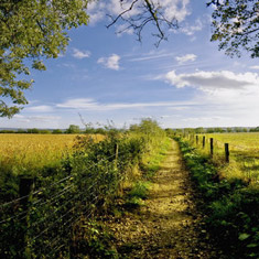 cotswoldwaymightyhike