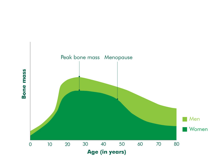 the bones information and support macmillan cancer support bone mass charts