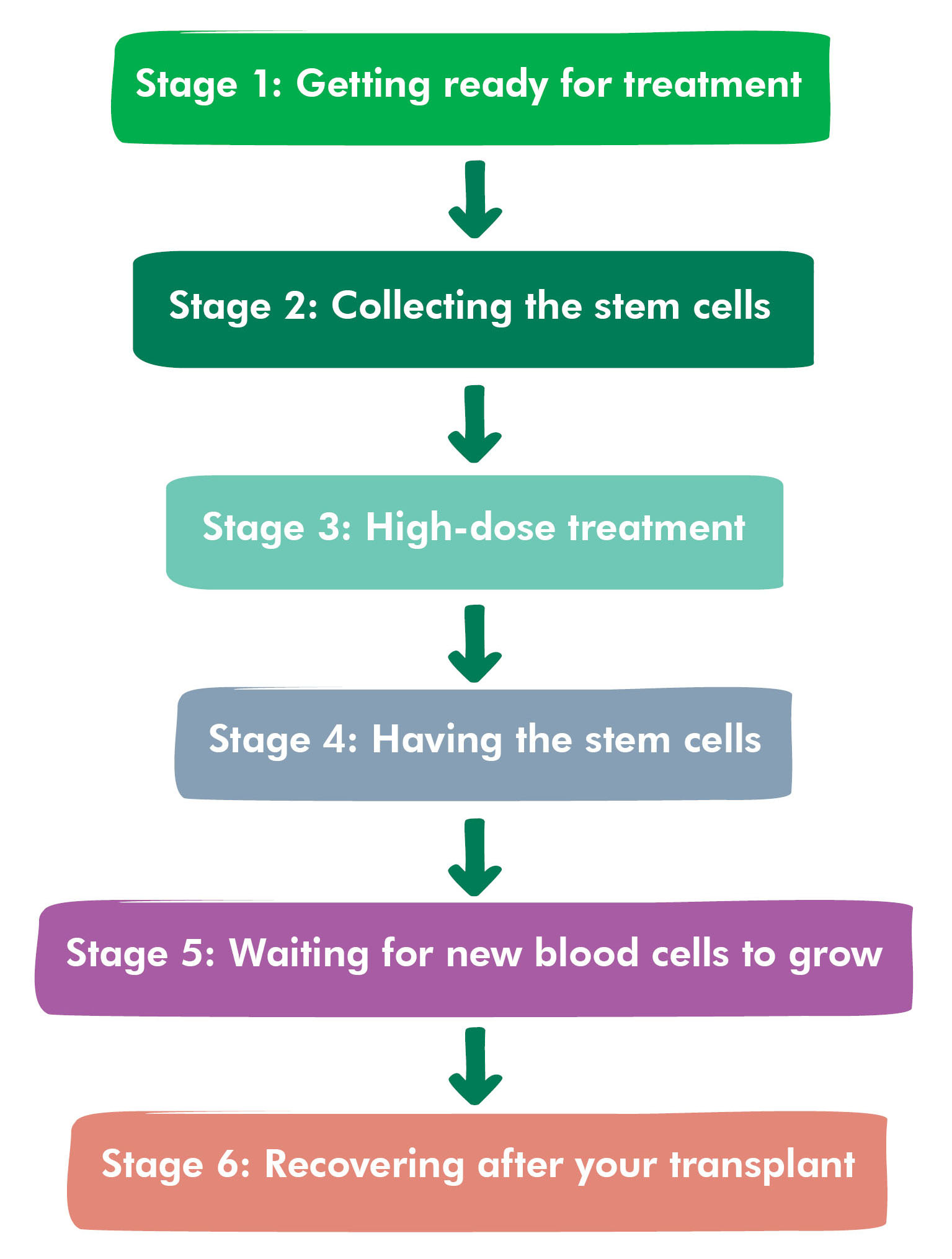 Preparing for a Myeloma Stem Cell Transplant Preparing for a Myeloma Stem Cell Transplant new pics Preparing for a Myeloma Stem Cell Transplant Preparing for a Myeloma Stem Cell Transplant new picture