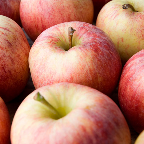 Apples