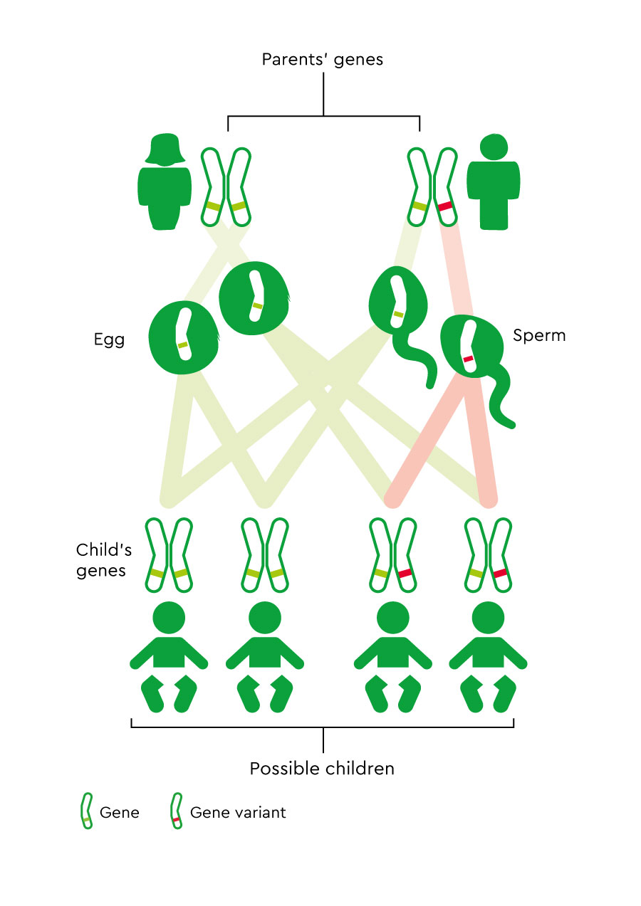 Familial adenomatous polyposis (FAP) - diagnosis, surgery