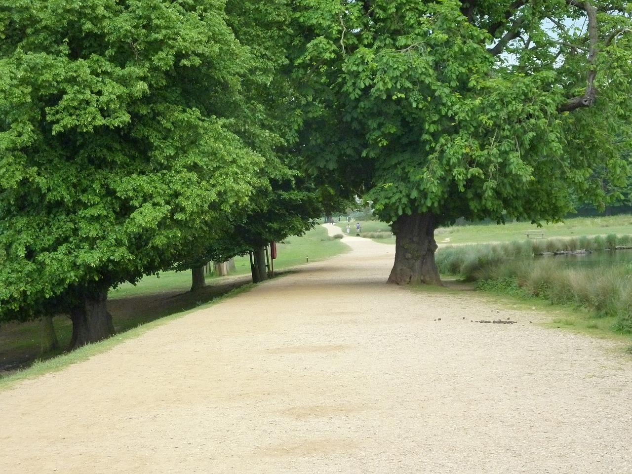 The pedestrian cycle path around Richmond Park in London