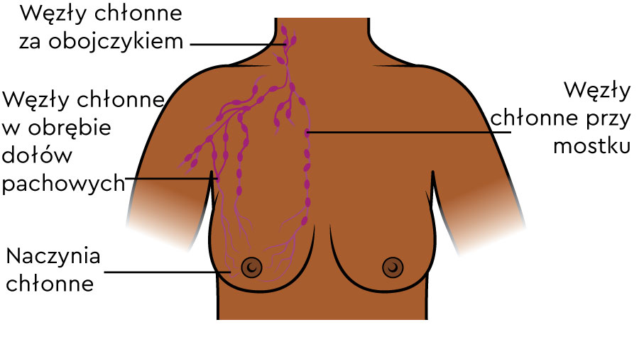 Węzły chłonne blisko piersi