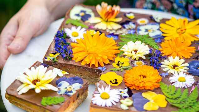 A beautiful millionaire's shortbread. Sticky caramel, smooth chocolate and vibrant edible flowers—orange marigolds, white daisies, purple lavender, and yellow pansies. A slice has been cut to reveal luscious chocolate layers and a biscuit base.