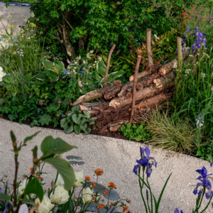 A gravel path surrounded by different plants including purple flowers. There is a bundle of wood alongside the path.