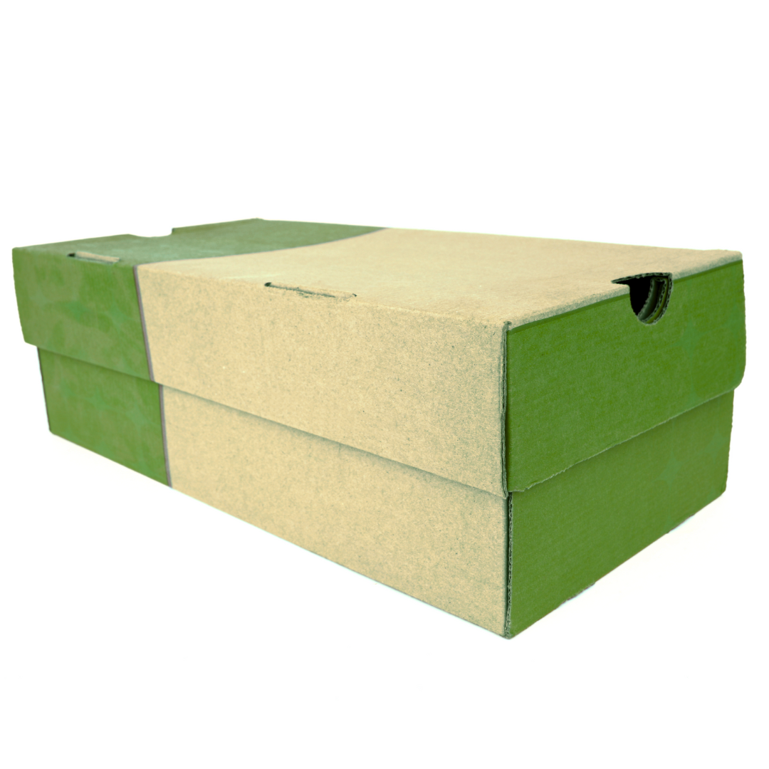 Macmillan recycling for good causes shoebox