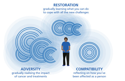 ARC framework showing three themes, adversity, restoration and compatibility