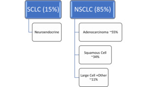 The chart shows prevalence of targetable driver mutation in both small cell lung cancer and non-small cell lung cancer.