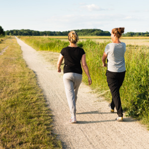 Two people are walking down a gravel path in a field. Their backs are seen and the field around them has green grass.