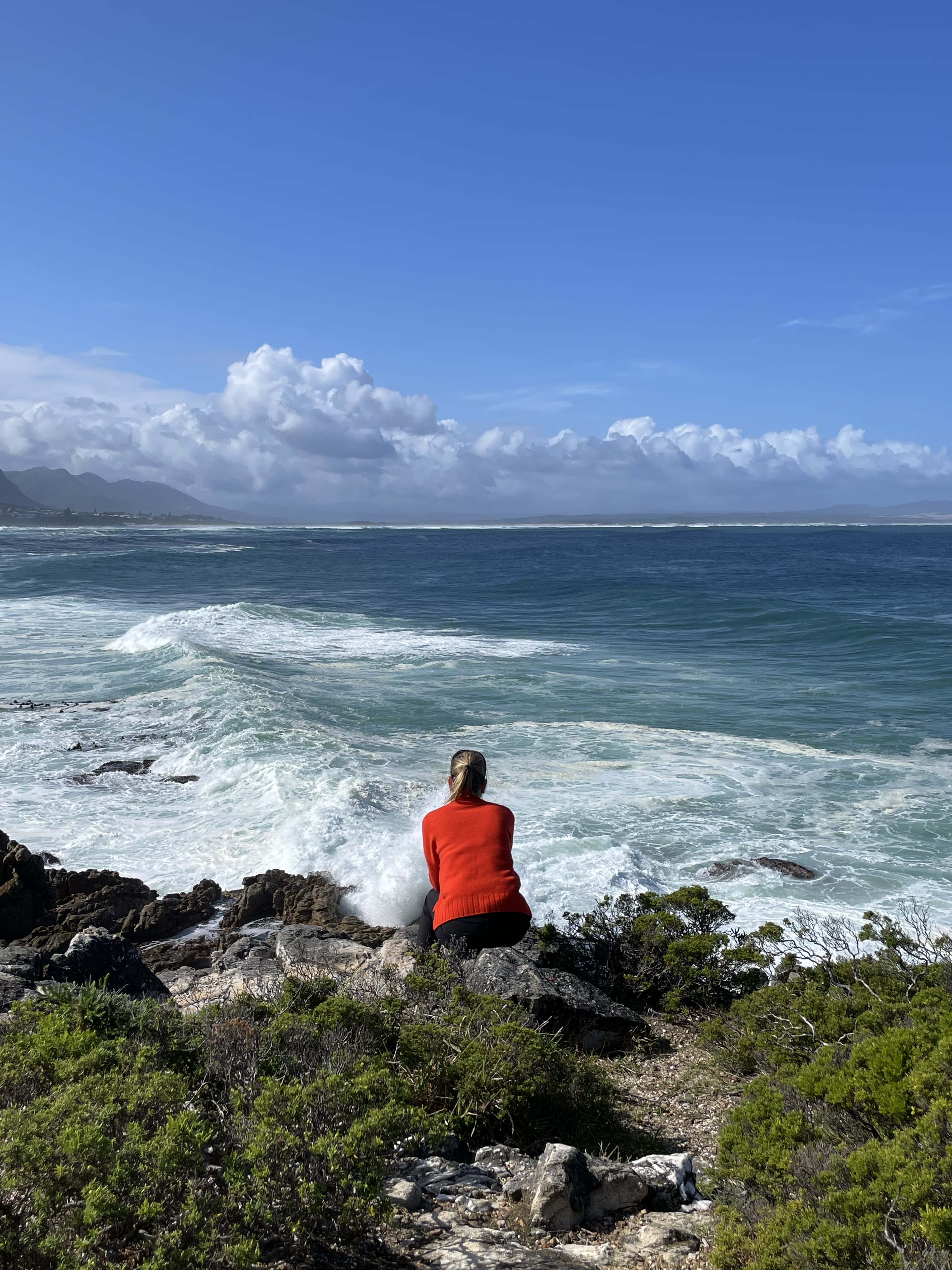 Picture of Suki from behind while she looks out to sea