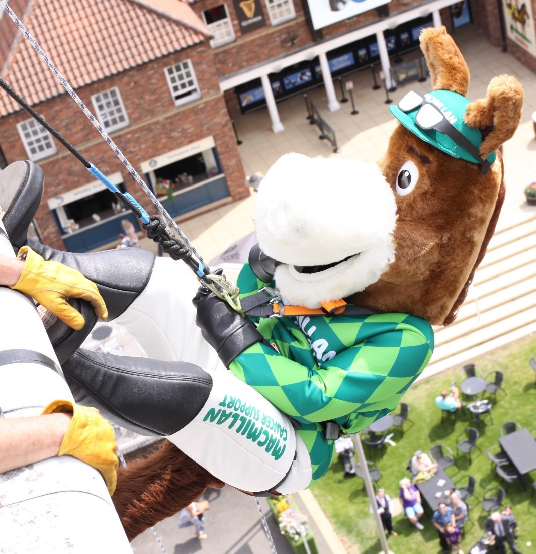 Someone abseiling off of the side of a building wearing a Macmillan horse mascot outfit.