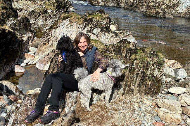 Siobhan, sitting in the sunshine, among the rocks by a river with her two dogs.
