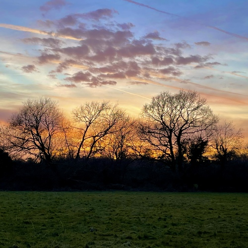 The skyline at dusk at the University Parks in Oxford. There are trees with no leaves on them in the distance and the sky is blue and orange.