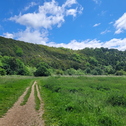 A dirt and gravel path through a grassy field. In the distance are rolling green hills and bright blue, slightly cloudy skies.