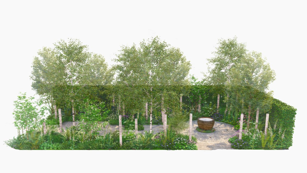 Illustration of the garden
