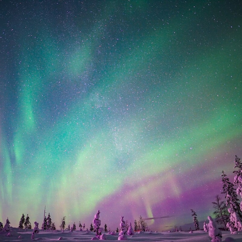 A view of the Northern lights in Lapland.