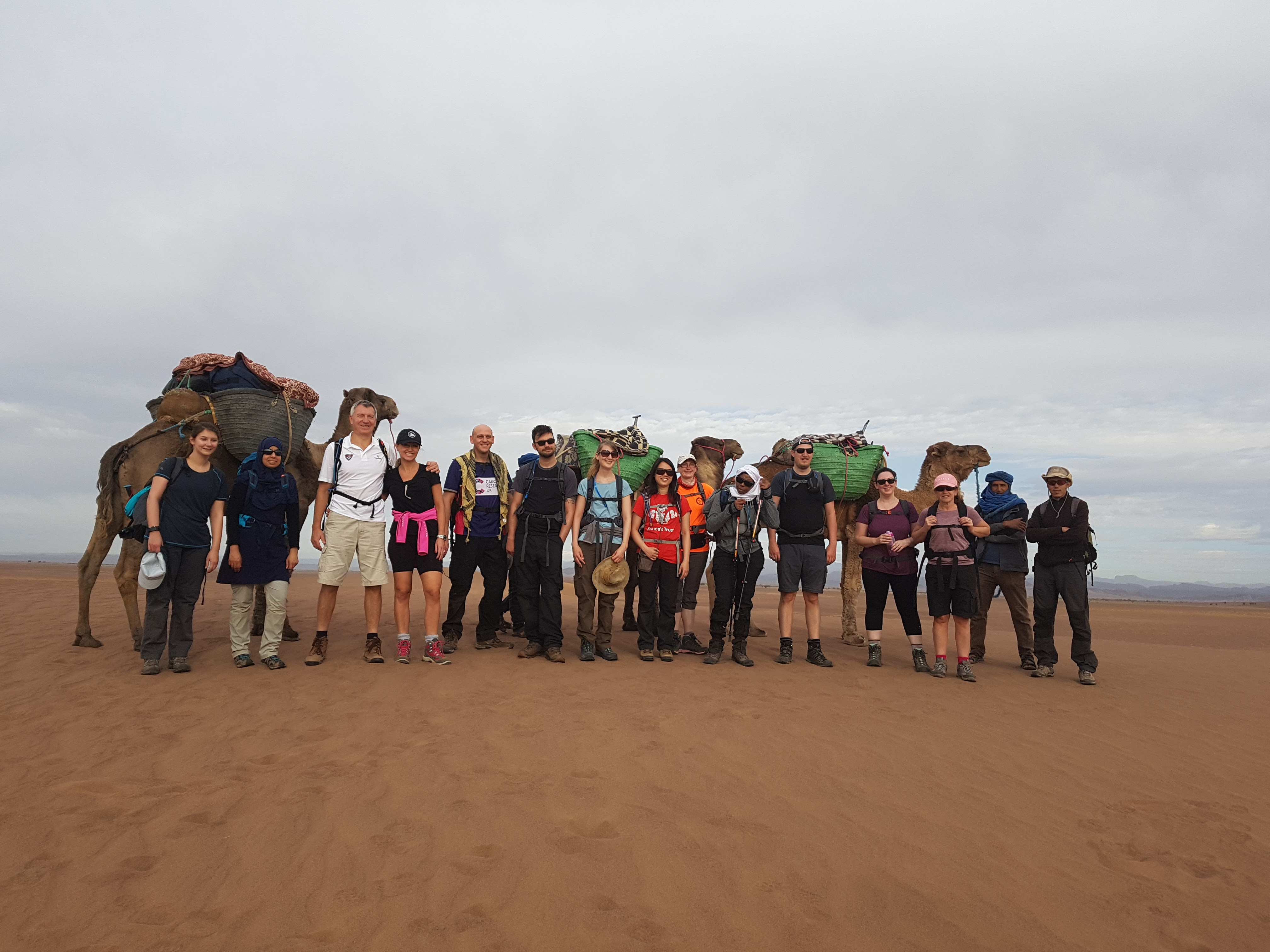 Group of hikers in the desert in front of camels