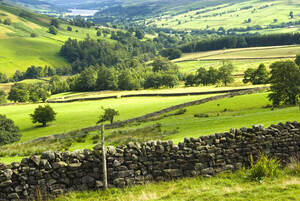 Photo of rolling hills with a small stone wall in the foreground