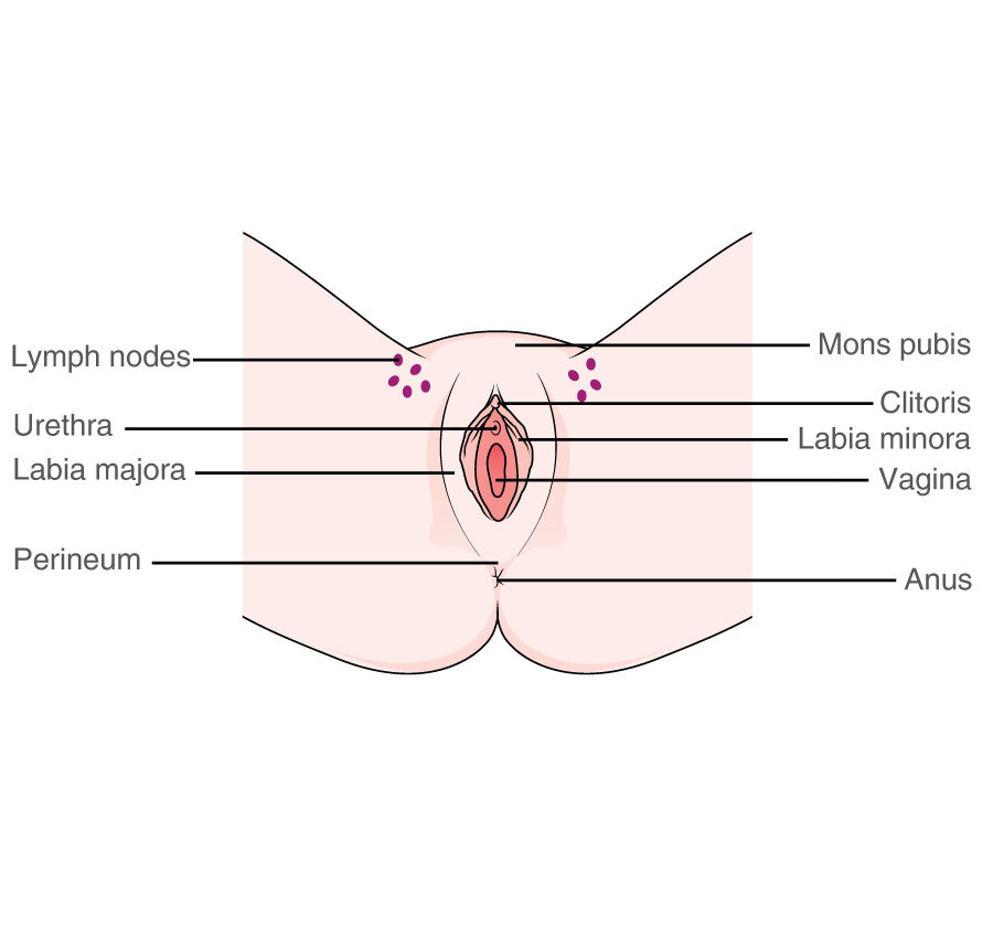 Pics vulva Magnetic resonance