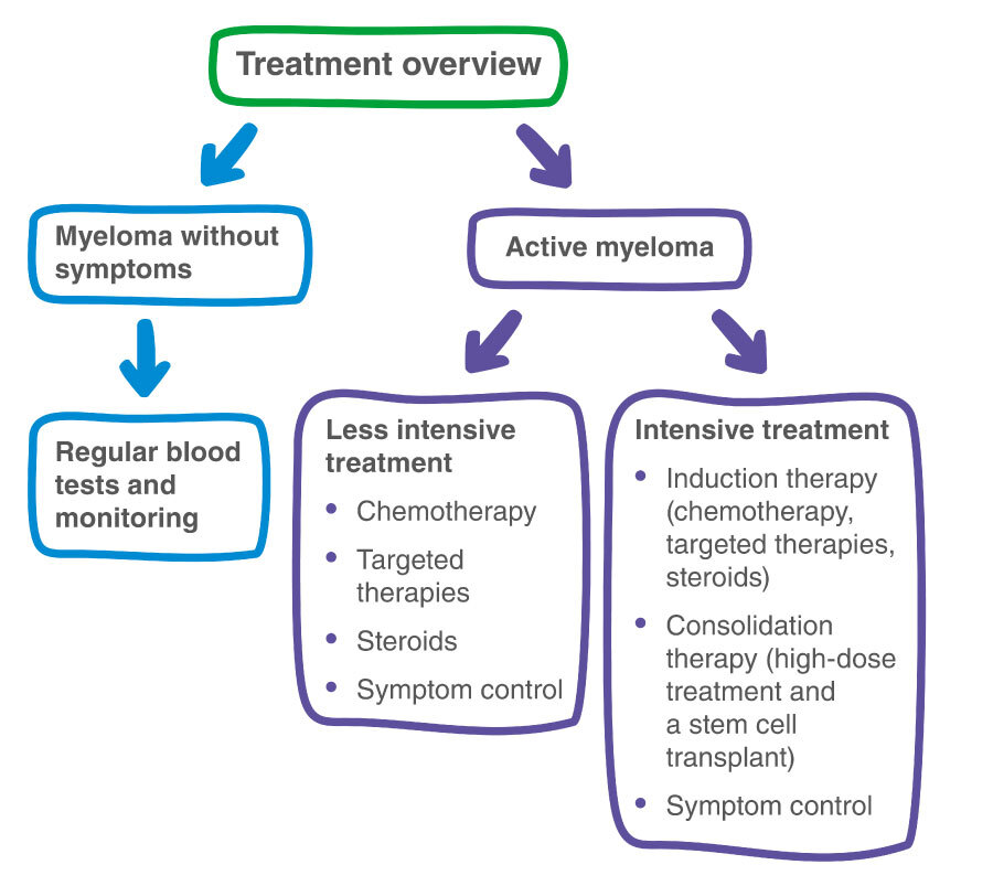 Myeloma AnaumAlegria